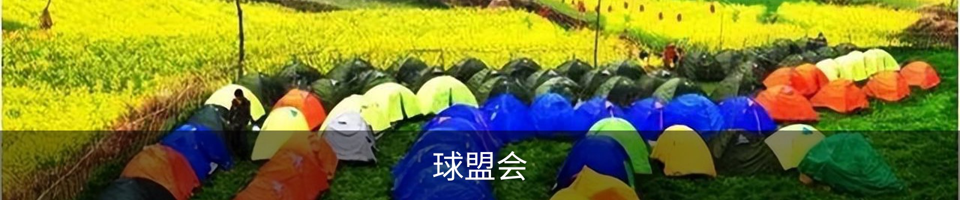 球盟会